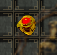 Donation Ring